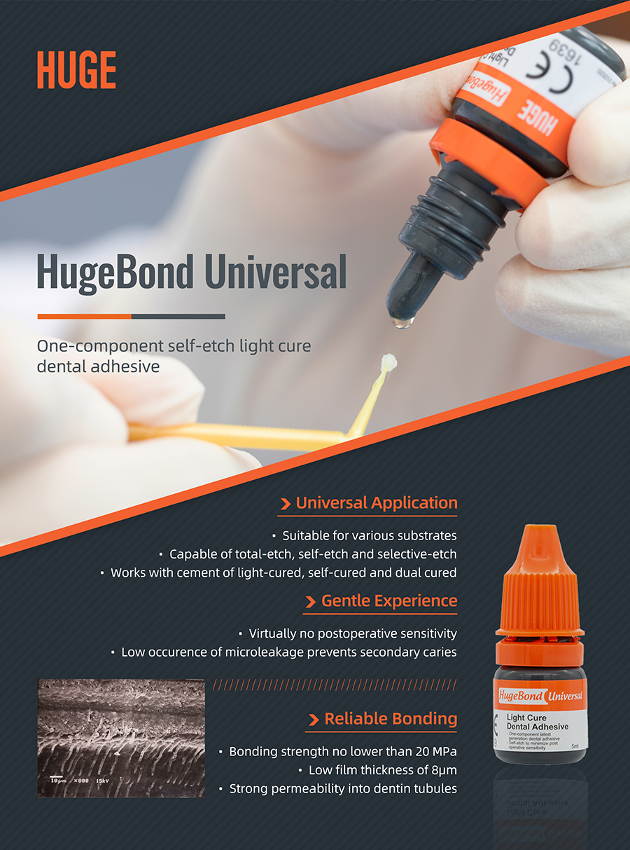 dental fix glue dental fix glue