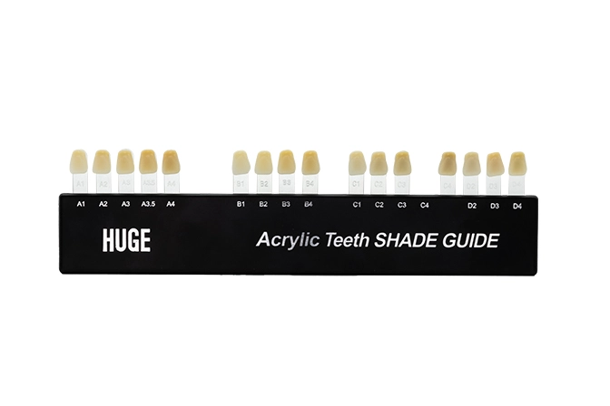 Dental Composite Teeth Shade Guide - 2