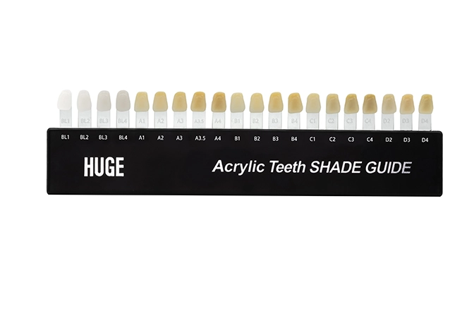 Dental Composite Teeth Shade Guide