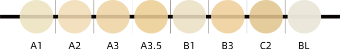 shades_pic.png
